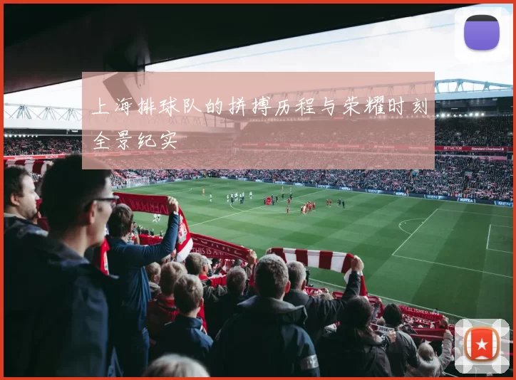 上海排球队的拼搏历程与荣耀时刻全景纪实